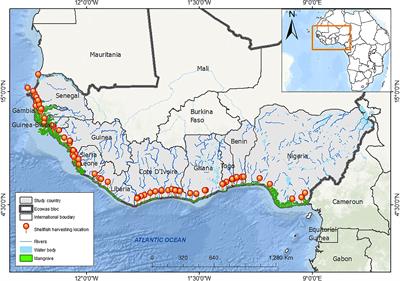 Spotlighting Women-Led Fisheries Livelihoods Toward Sustainable Coastal Governance: The Estuarine and Mangrove Ecosystem Shellfisheries of West Africa